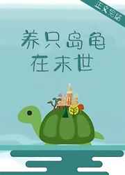 养只岛龟在末世 小说封面